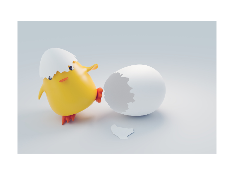 The Emergency Chicken - new Chick