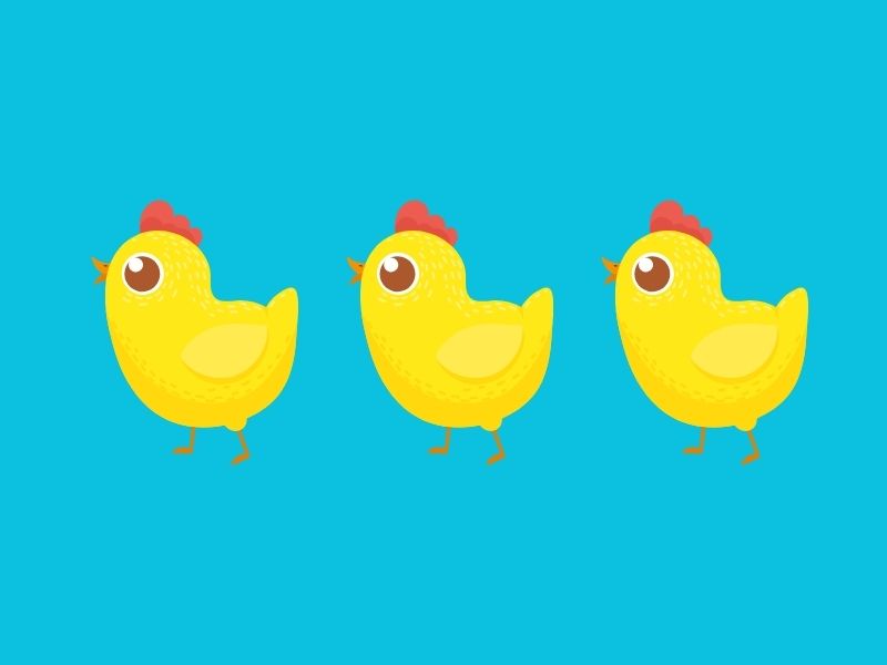 The Happiness Question.  Happy Chickens.