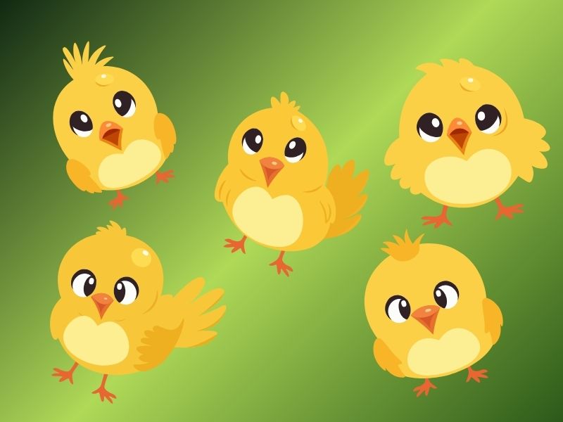 Radiators & Drains. The Emergency Chicken and Other Stories. A blog about friends and acquaintances.