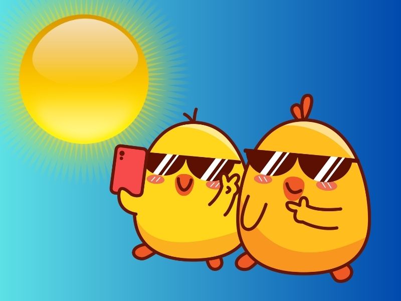 The Best Things About Summer. The great things about the Summer Months.