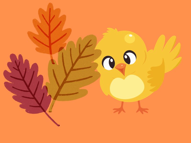 What's Wrong With Good Enough Blog from The Emergency Chicken and Other Stories.