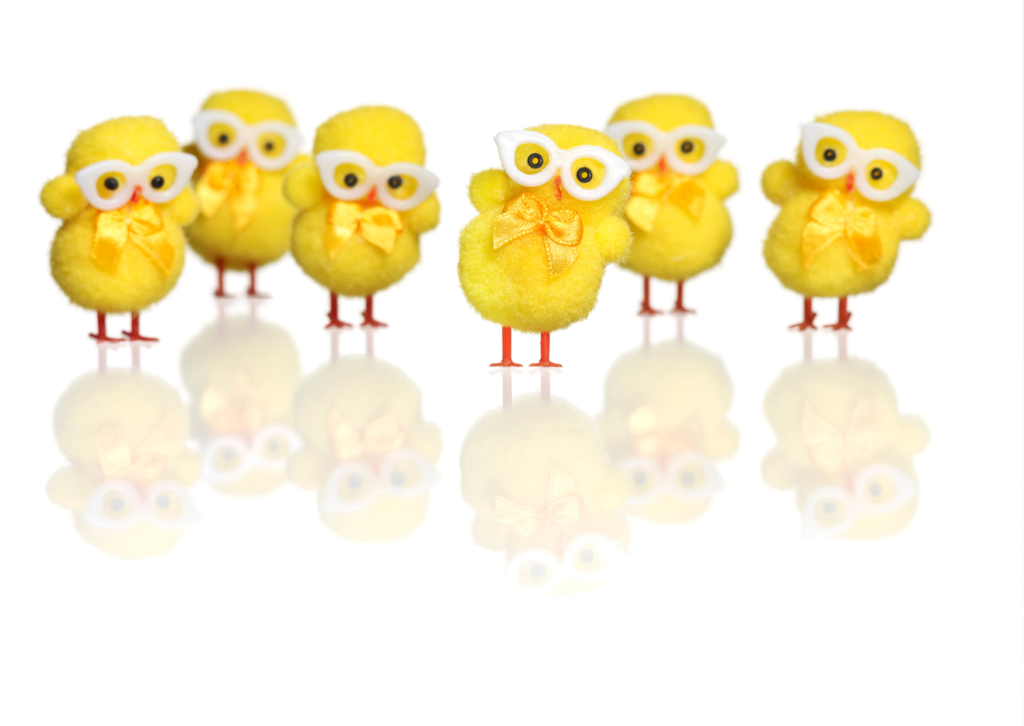 Spring Season Blogs. Happiness is an Inside Job.