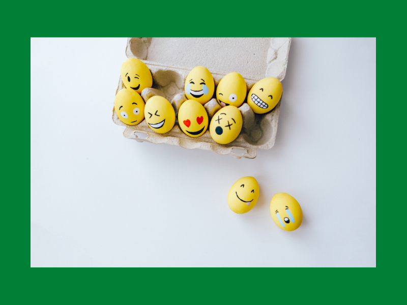 One Space or Two? Emergency Chicken Eggs in a box.