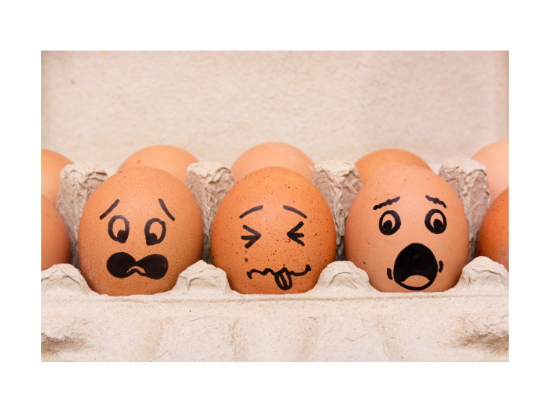 How (not) to cope in a crisis.  The Emergency Chicken and Other Stories.