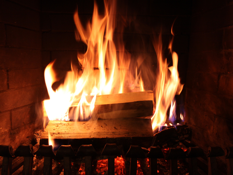 Happiness is an Inside Job.  Fire with a Chicken.