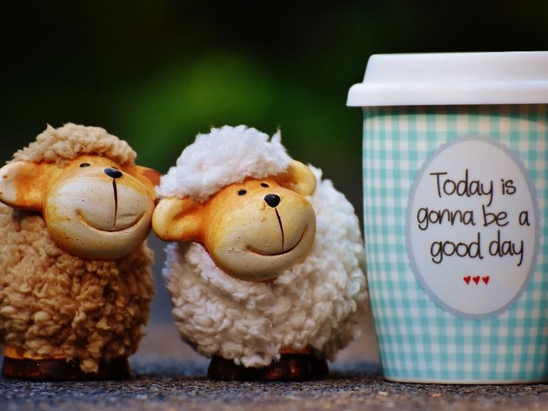 The Happiness Question. What can Psychology teach us about happiness?