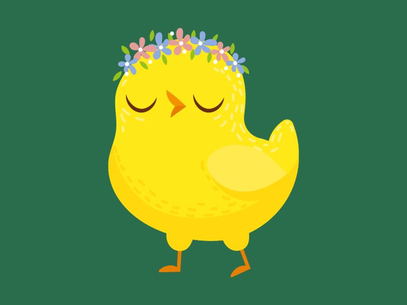 I'm Sorry. It Isn't You. It's Me. Blogs from The Emergency Chicken and Other Stories.